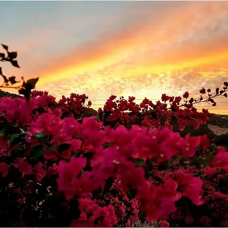 Fexulis & * Агиос-Николаос