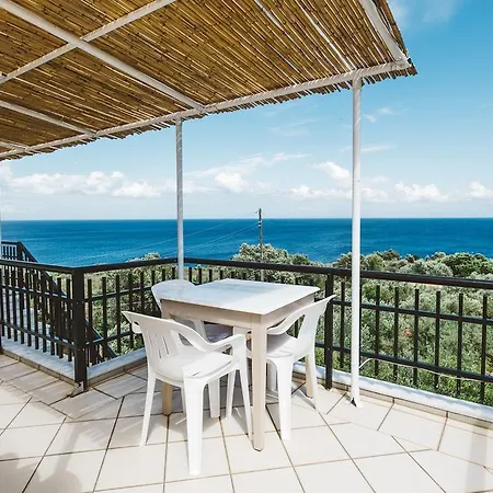 Fexulis & Apartamento