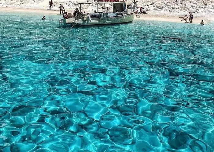 Fexulis & Apartamento