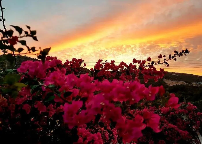 Fexulis & * Ágios Nikolaos