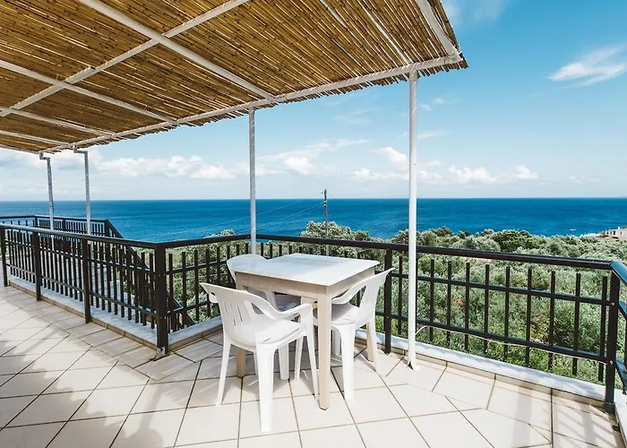 Fexulis & Apartamento